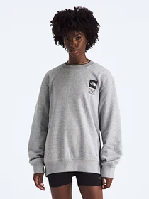Худи и свитшоты The North Face U TNF CELEBRATION RELAXED CREW модель NF0A8GATDYX1 Фото