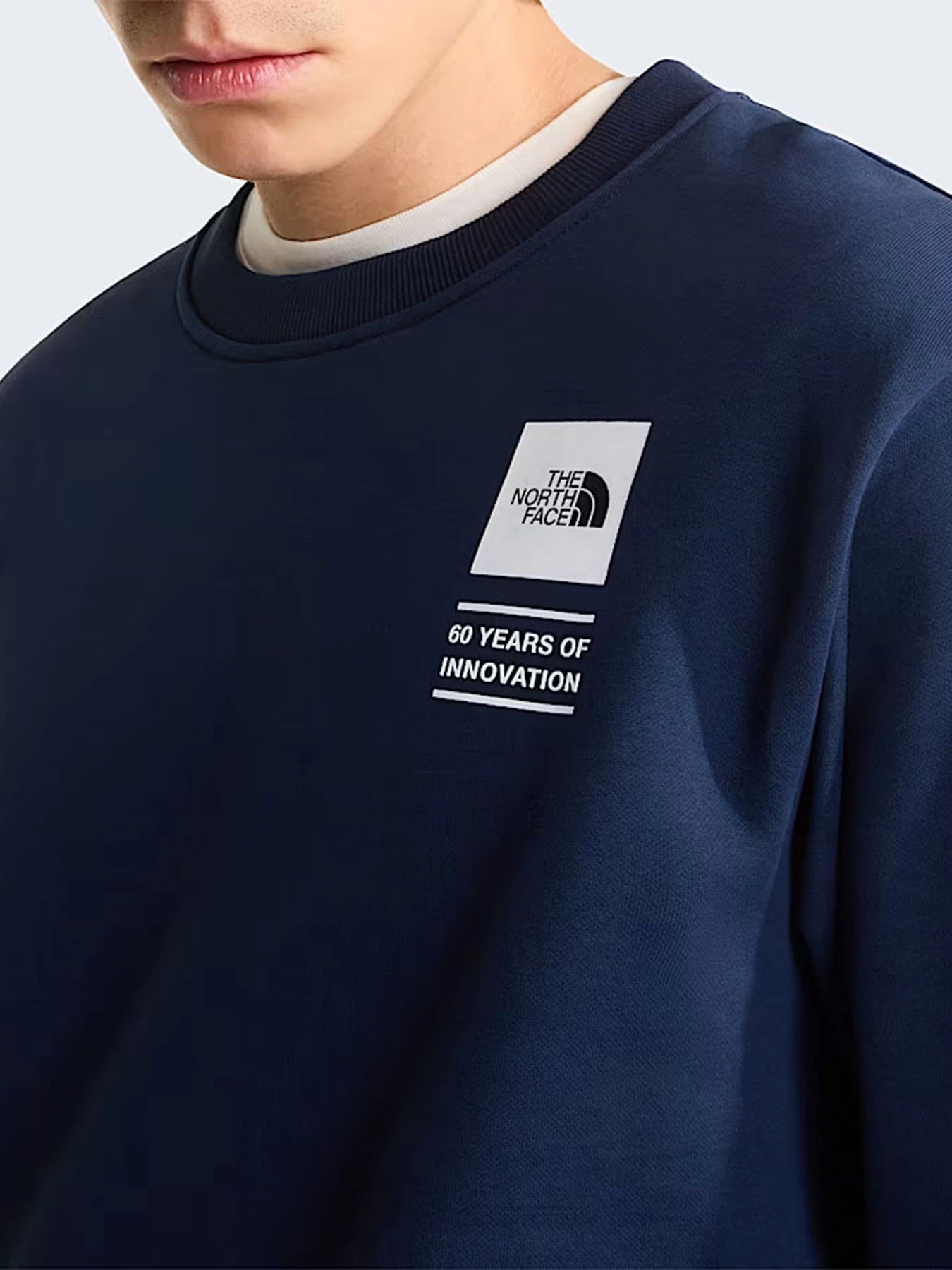 Худи и свитшоты The North Face U TNF CELEBRATION RELAXED CREW модель NF0A8GAT8K21 Худи и свитшоты The North Face U TNF CELEBRATION RELAXED CREW модель NF0A8GAT8K21 Фото