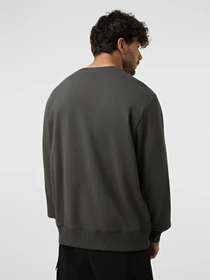 Худи и свитшоты The North Face U ESSENTIAL LIGHT RELAXED CREW модель NF0A8GQCRHI1 Фото