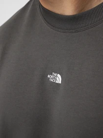 Худи и свитшоты The North Face U ESSENTIAL LIGHT RELAXED CREW модель NF0A8GQCRHI1 Фото
