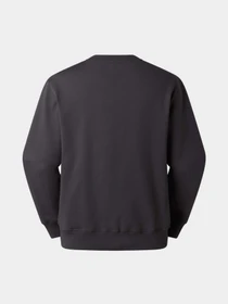 Худи и свитшоты The North Face U ESSENTIAL LIGHT RELAXED CREW модель NF0A8GQCRHI1 Фото