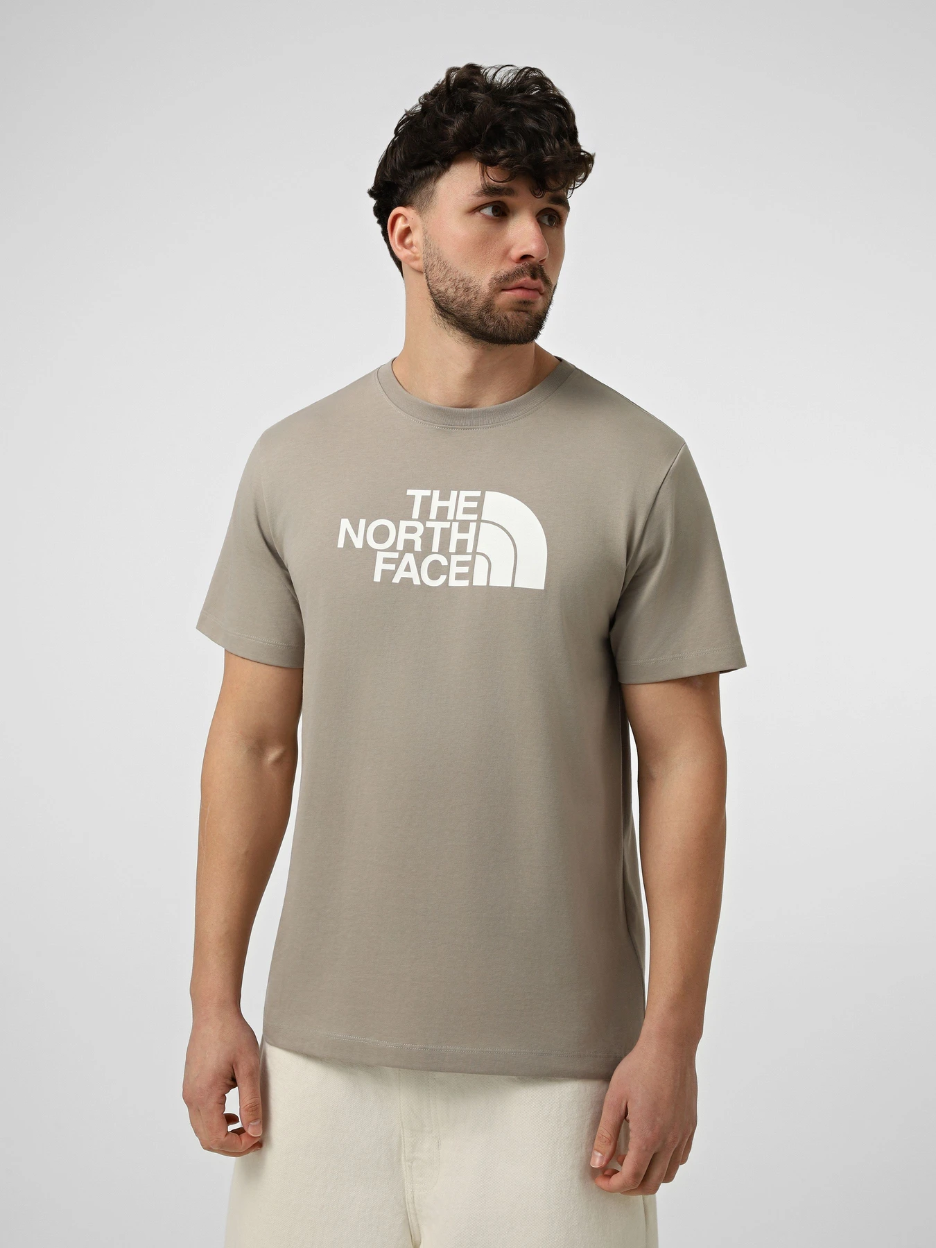 Футболки і поло The North Face M EVOLUTION HALF DOME REGULAR модель NF0A8B6J2MB1 Футболки і поло The North Face M EVOLUTION HALF DOME REGULAR модель NF0A8B6J2MB1 Фото