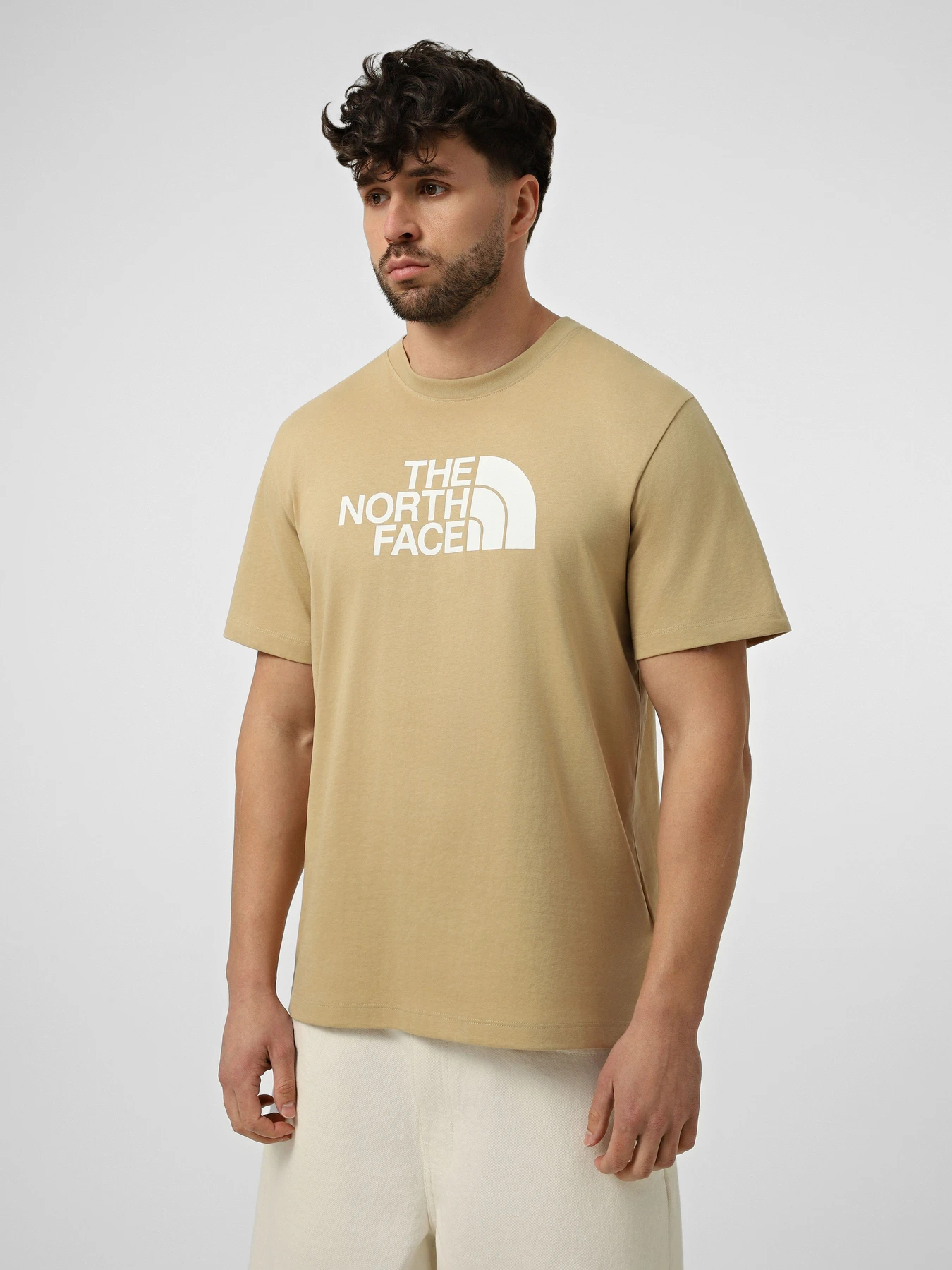 Футболки і поло The North Face M EVOLUTION HALF DOME REGULAR модель NF0A8B6JLK51 Футболки і поло The North Face M EVOLUTION HALF DOME REGULAR модель NF0A8B6JLK51 Фото