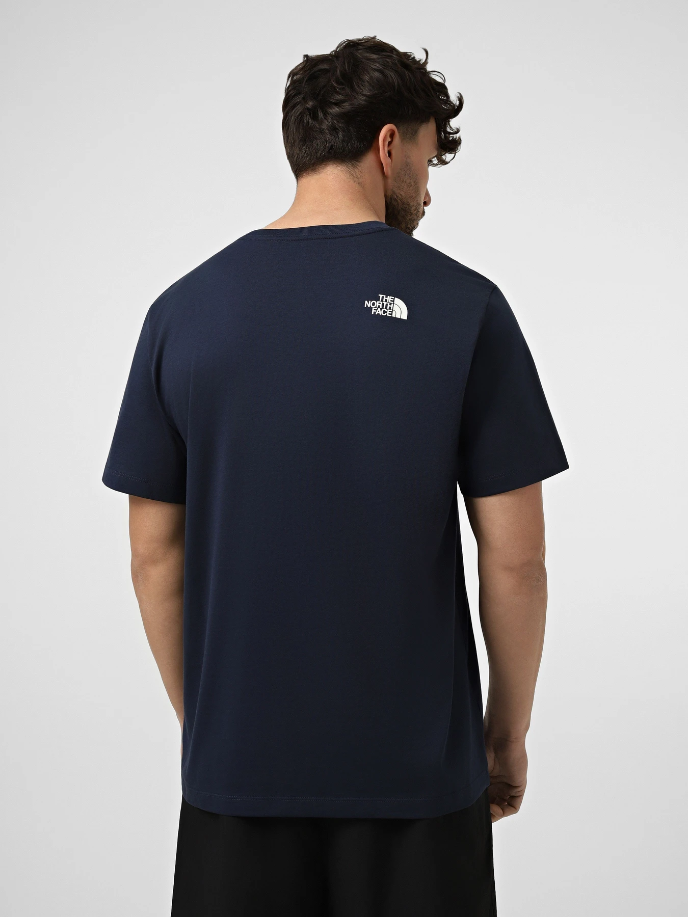 Футболки і поло The North Face M EVOLUTION HALF DOME REGULAR модель NF0A8B6JI851 Футболки і поло The North Face M EVOLUTION HALF DOME REGULAR модель NF0A8B6JI851 Фото