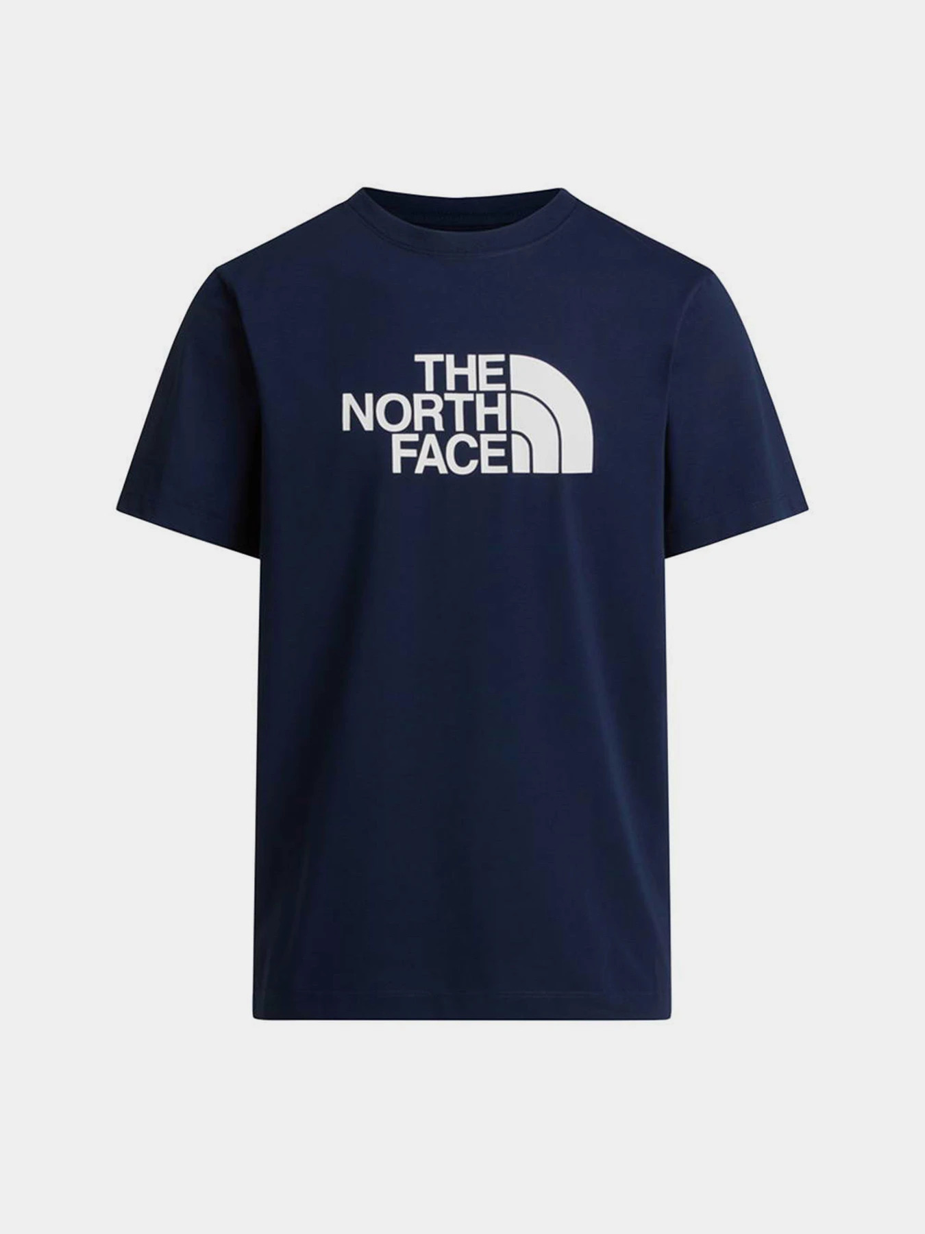 Футболки і поло The North Face M EVOLUTION HALF DOME REGULAR модель NF0A8B6JI851 Футболки і поло The North Face M EVOLUTION HALF DOME REGULAR модель NF0A8B6JI851 Фото
