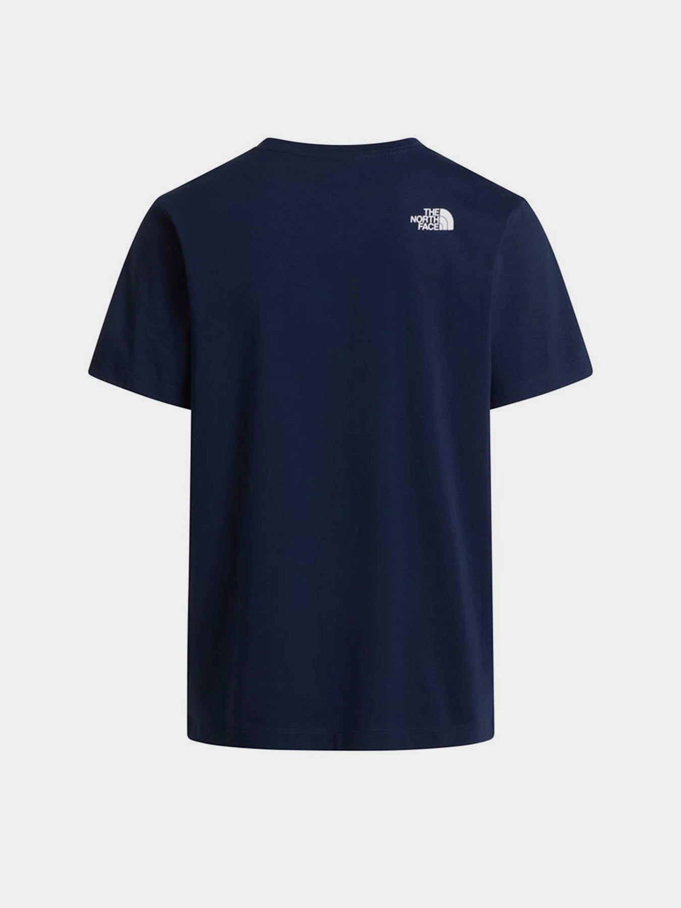 Футболки і поло The North Face M EVOLUTION HALF DOME REGULAR модель NF0A8B6JI851 Футболки і поло The North Face M EVOLUTION HALF DOME REGULAR модель NF0A8B6JI851 Фото