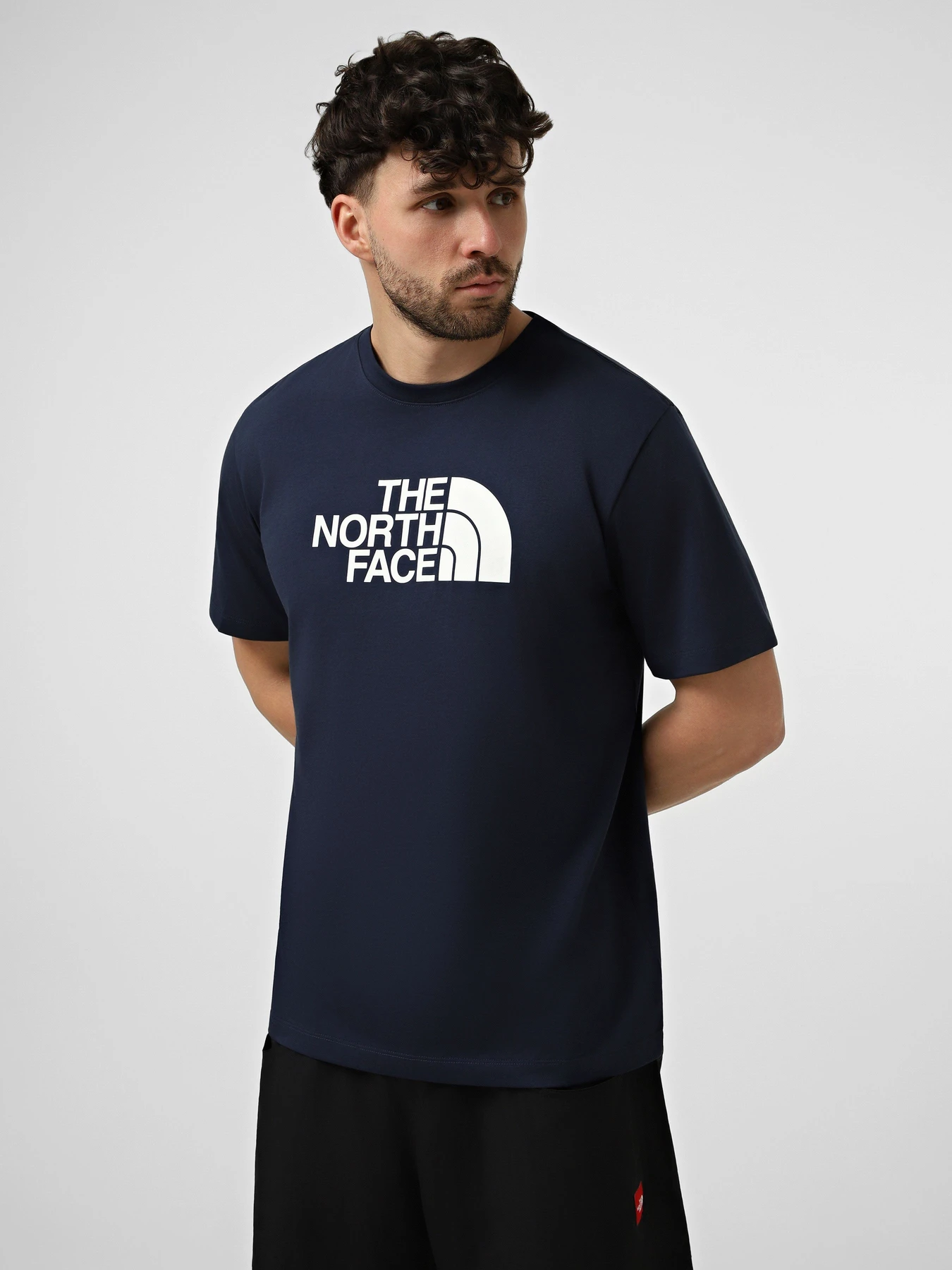 Футболки і поло The North Face M EVOLUTION HALF DOME REGULAR модель NF0A8B6JI851 Футболки і поло The North Face M EVOLUTION HALF DOME REGULAR модель NF0A8B6JI851 Фото