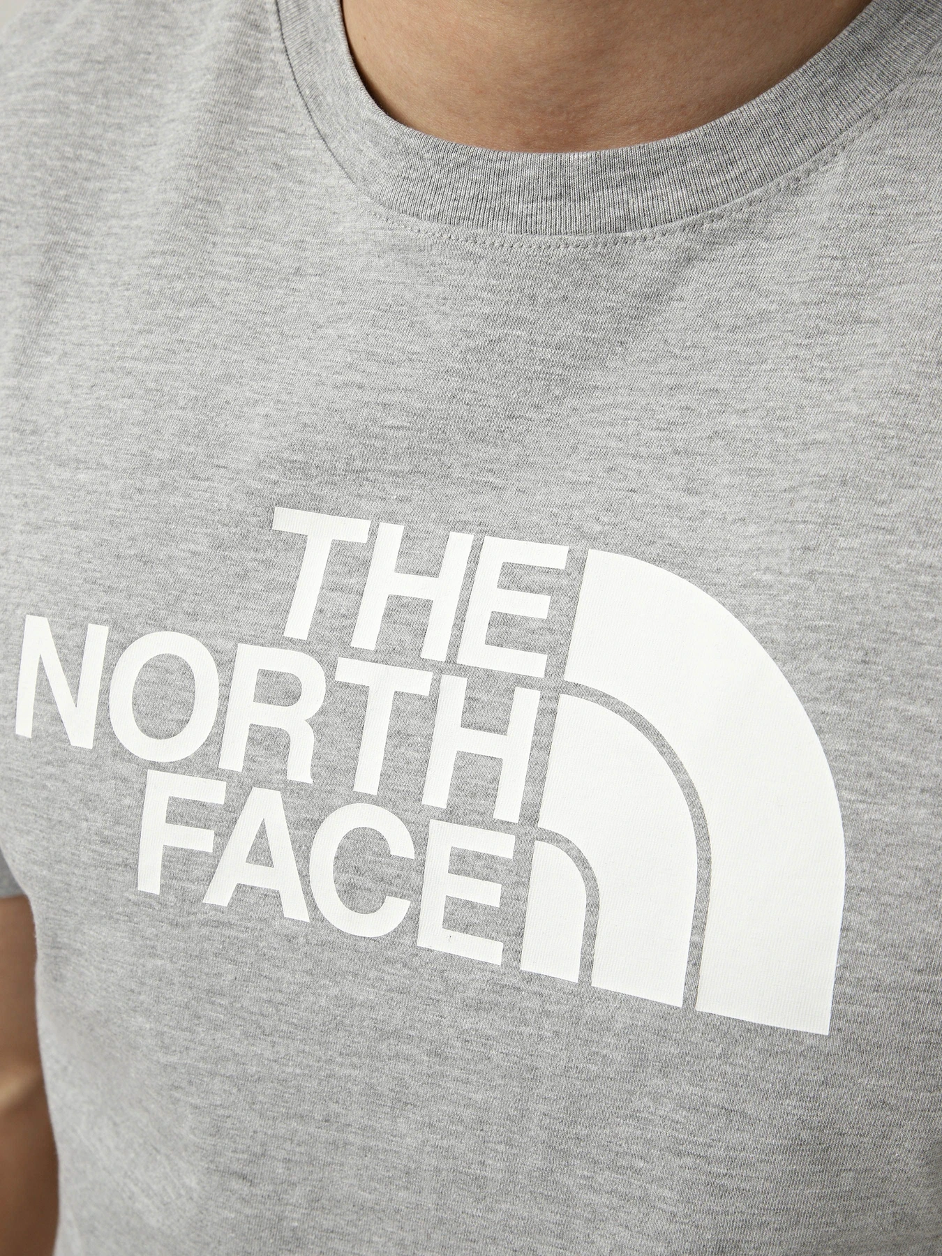 Футболки і поло The North Face M EVOLUTION HALF DOME REGULAR модель NF0A8B6JCU71 Футболки і поло The North Face M EVOLUTION HALF DOME REGULAR модель NF0A8B6JCU71 Фото