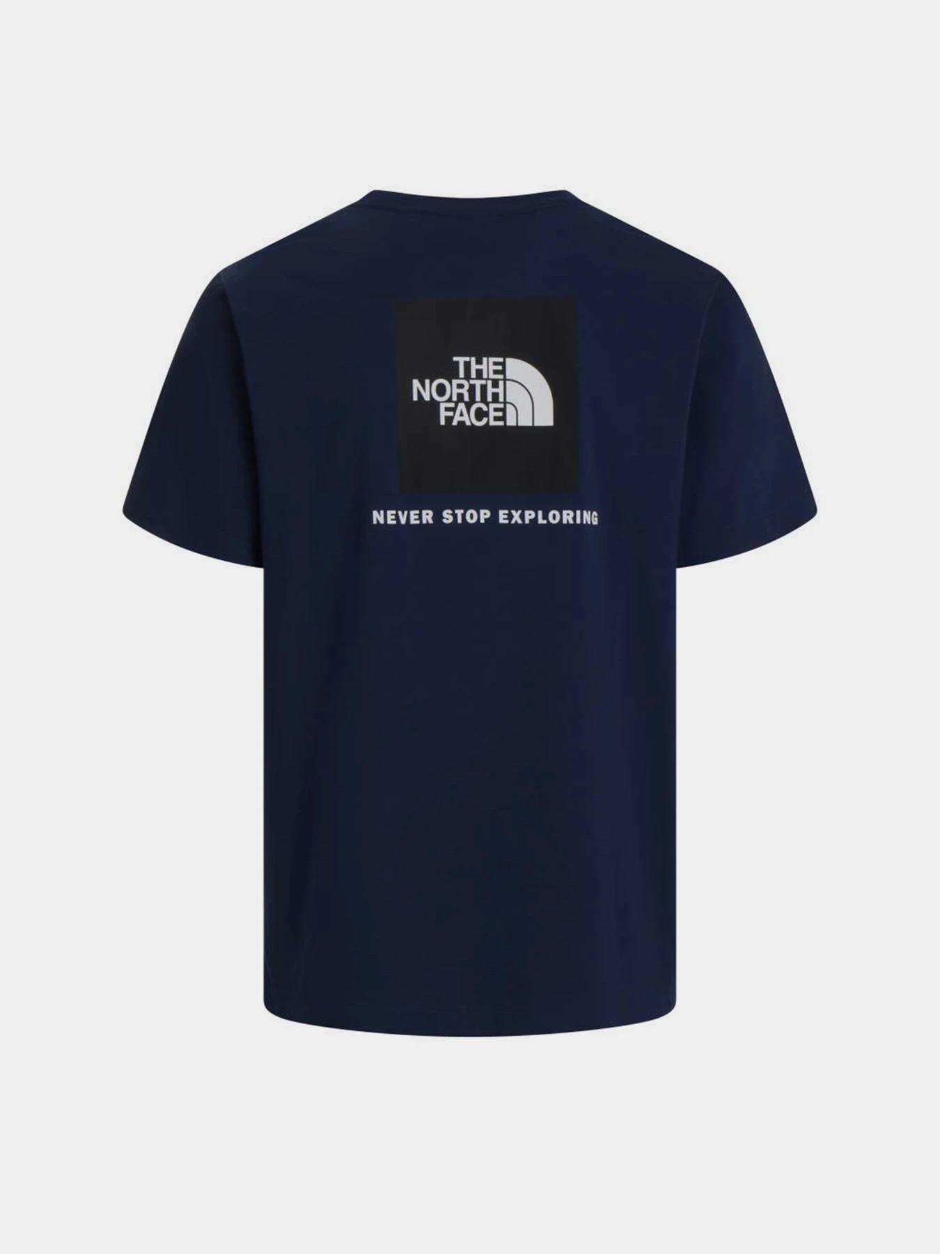 Футболки і поло The North Face M EVOLUTION BOX NSE REGULAR SH модель NF0A8B6K8K21 Футболки і поло The North Face M EVOLUTION BOX NSE REGULAR SH модель NF0A8B6K8K21 Фото