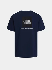 Футболки і поло The North Face M EVOLUTION BOX NSE REGULAR SH модель NF0A8B6K8K21 Фото
