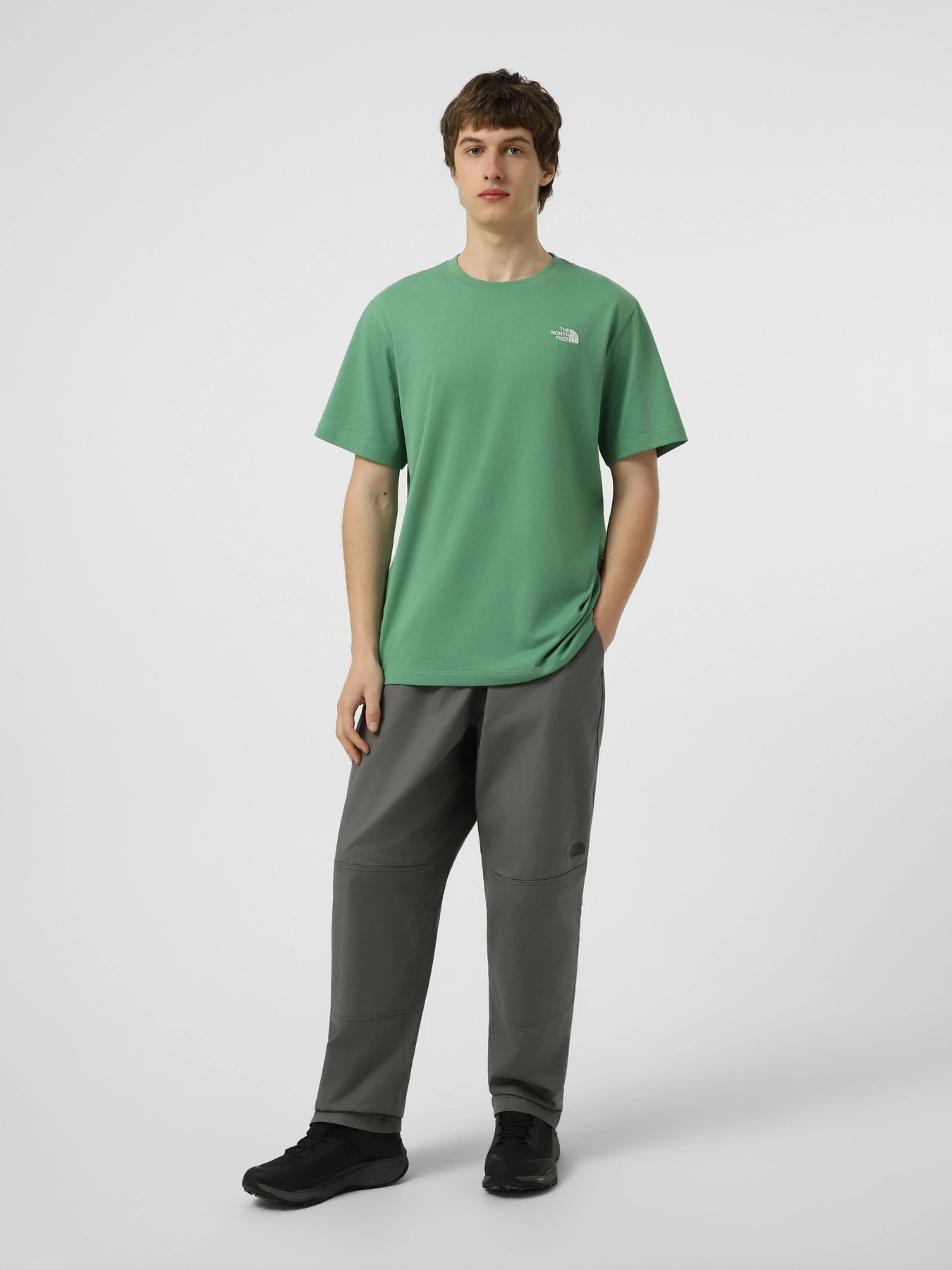 Футболки і поло The North Face M EVOLUTION SIMPLE DOME REGULA модель NF0A8CZ2G571 Фото