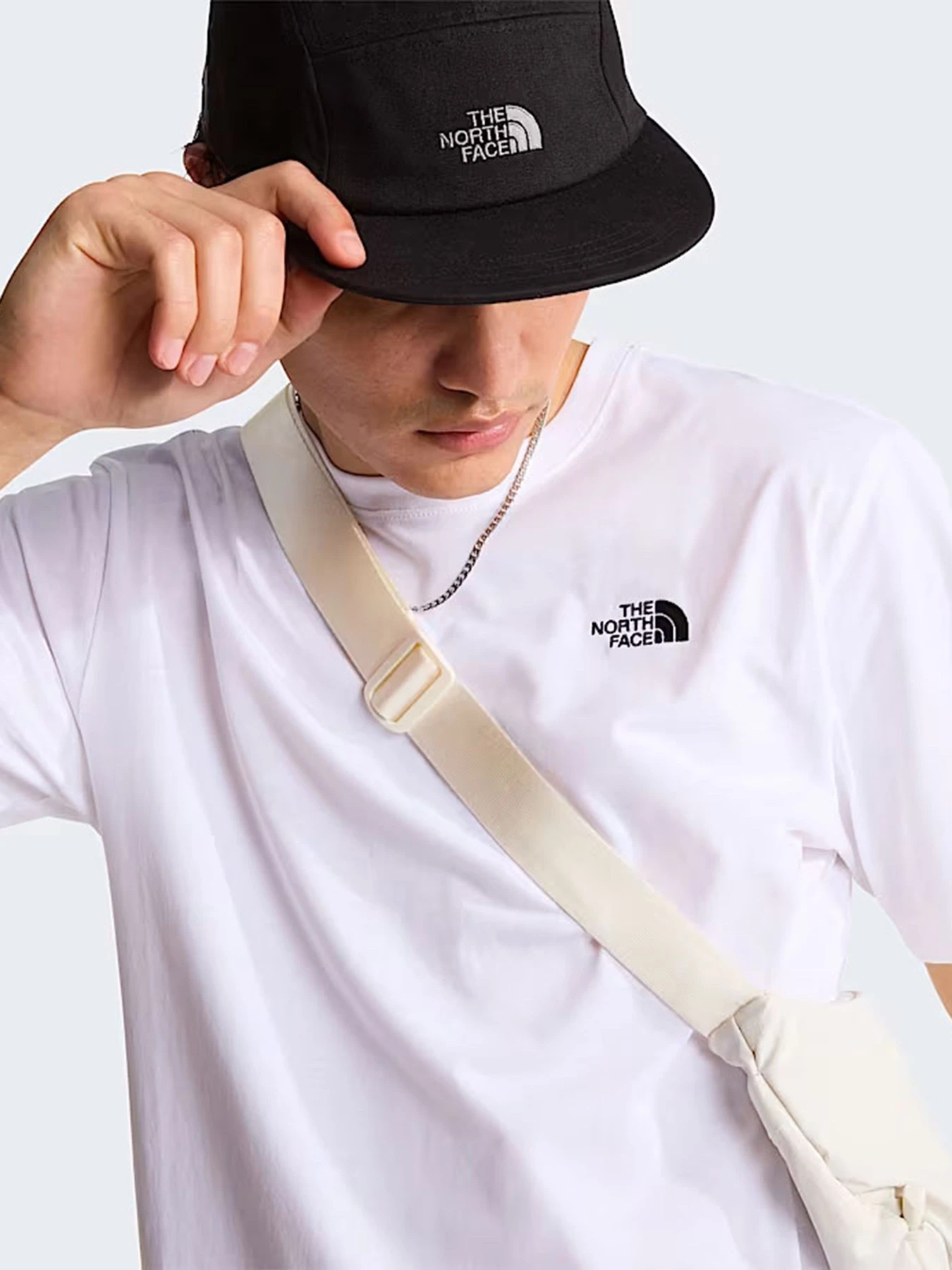 Футболки і поло The North Face M EVOLUTION SIMPLE DOME REGULA модель NF0A8CZ2FN41 Фото