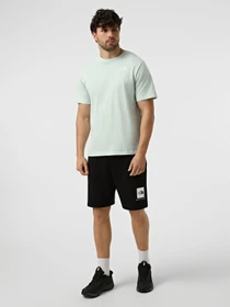 Футболки и поло The North Face M EVOLUTION SIMPLE DOME REGULA модель NF0A8CZ2G701 Фото