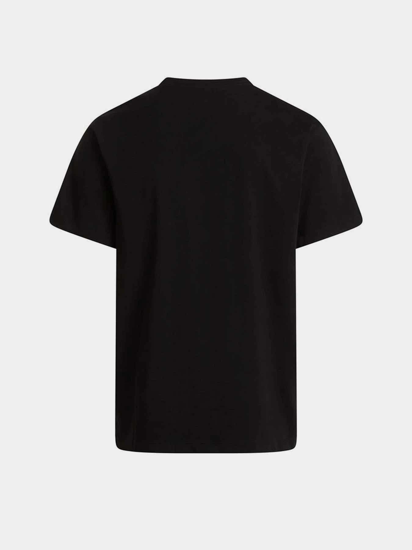 Футболки і поло The North Face M EVOLUTION SIMPLE DOME REGULA модель NF0A8CZ2JK31 Футболки і поло The North Face M EVOLUTION SIMPLE DOME REGULA модель NF0A8CZ2JK31 Фото