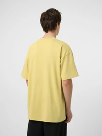 Футболки і поло The North Face M TNF RED BOX S/S TEE модель NF0A8EG5G661 Фото