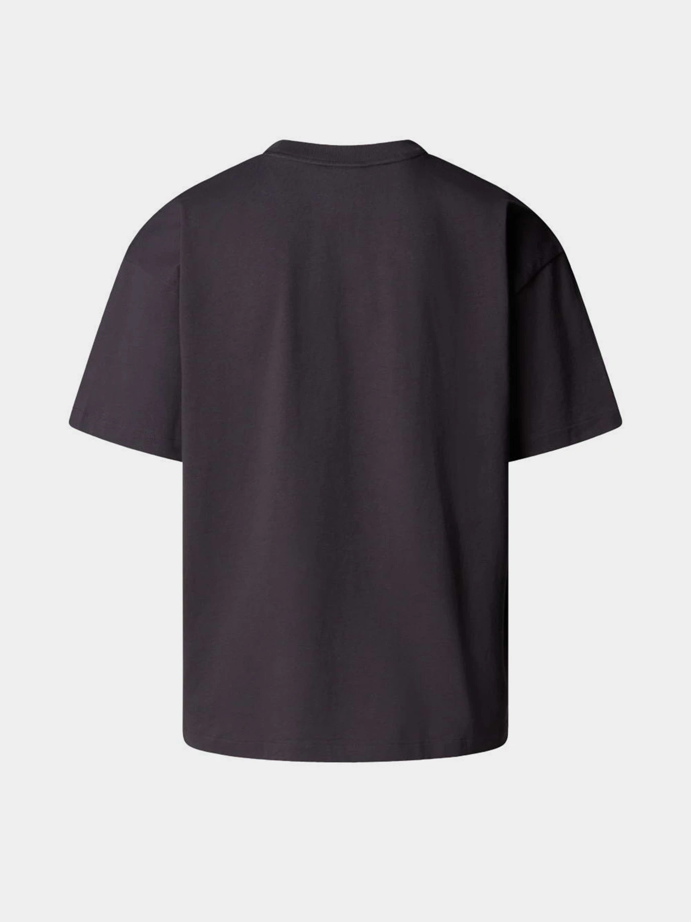 Футболки і поло The North Face M TNF RED BOX S/S TEE модель NF0A8EG50SA1 Фото