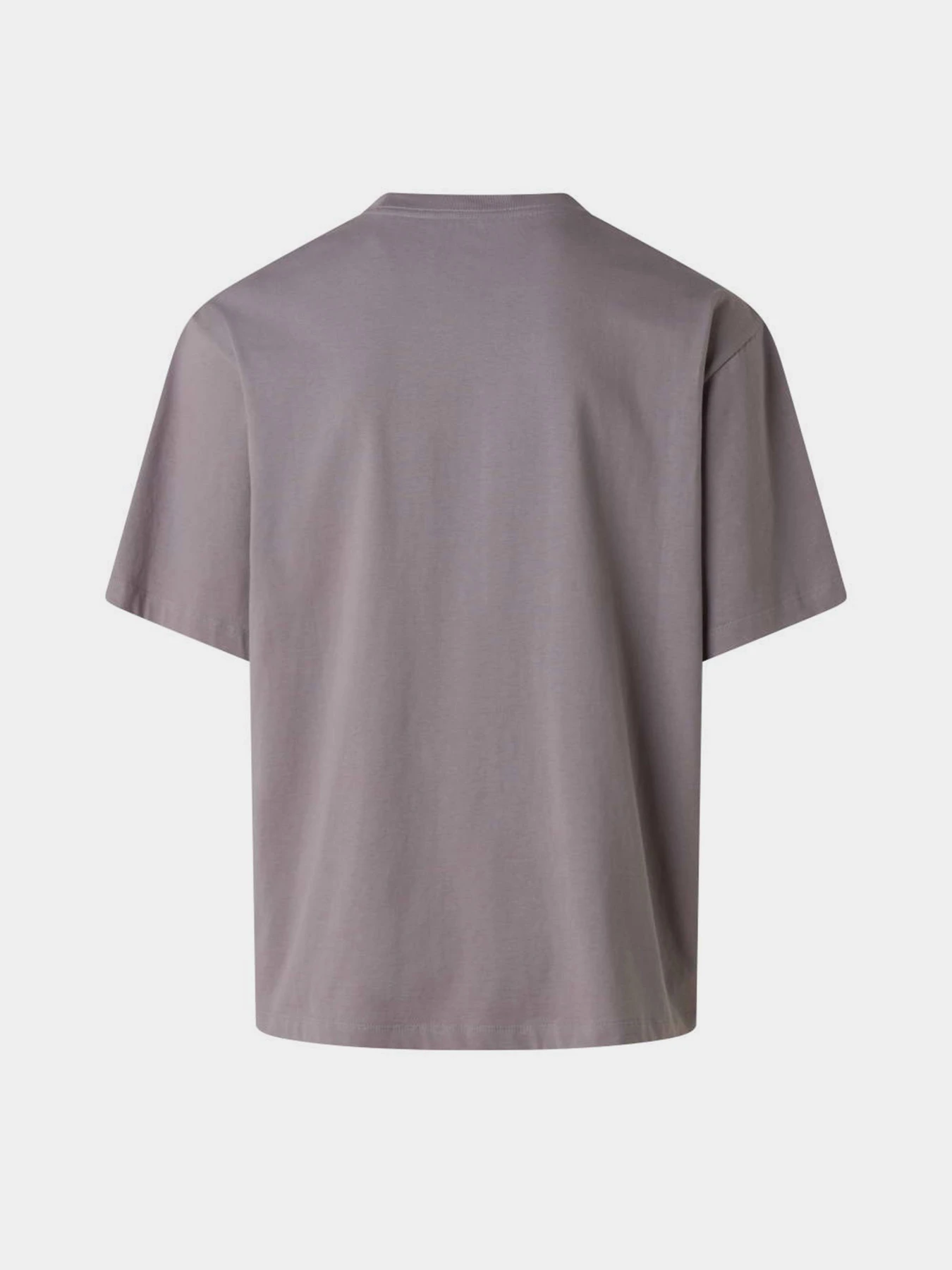 Футболки и поло The North Face M TNF ESSENTIAL SIMPLE DOME OS модель NF0A8EVWG7O1 Футболки и поло The North Face M TNF ESSENTIAL SIMPLE DOME OS модель NF0A8EVWG7O1 Фото
