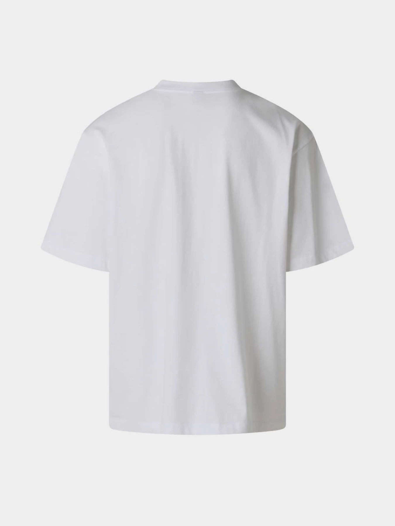 Футболки і поло The North Face M TNF ESSENTIAL SIMPLE DOME OS модель NF0A8EVWFN41 Футболки і поло The North Face M TNF ESSENTIAL SIMPLE DOME OS модель NF0A8EVWFN41 Фото