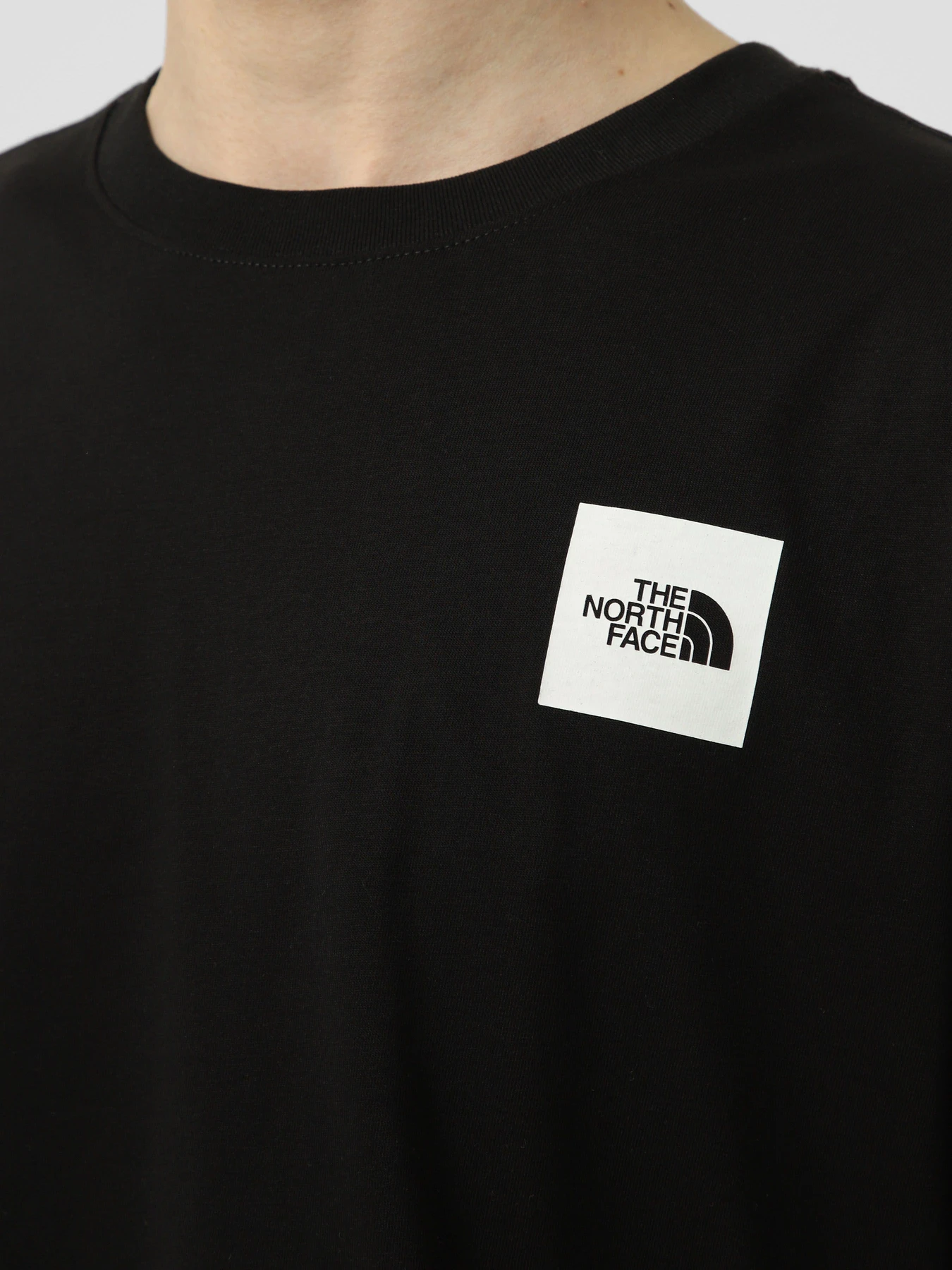 Футболки і поло The North Face M EVOLUTION BOX HALF DOME REGU модель NF0A8G9CJK31 Футболки і поло The North Face M EVOLUTION BOX HALF DOME REGU модель NF0A8G9CJK31 Фото