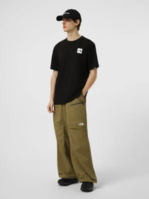 Футболки і поло The North Face M EVOLUTION BOX HALF DOME REGU модель NF0A8G9CJK31 Фото