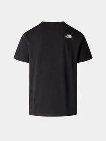 Футболки і поло The North Face M EVOLUTION BOX HALF DOME REGU модель NF0A8G9CJK31 Фото