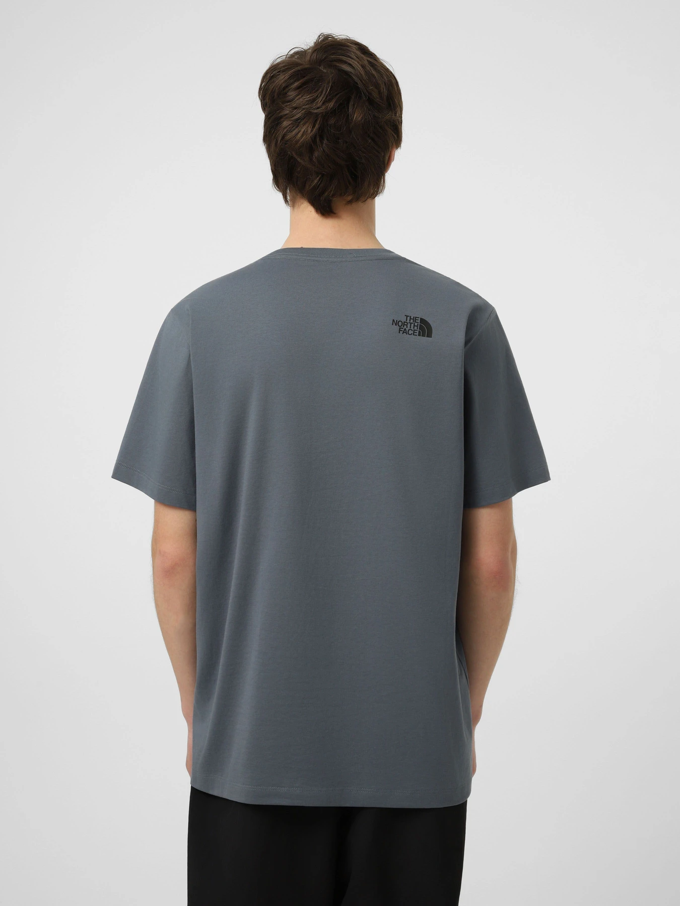 Футболки і поло The North Face M EVOLUTION BOX HALF DOME REGU модель NF0A8G9C0U31 Фото