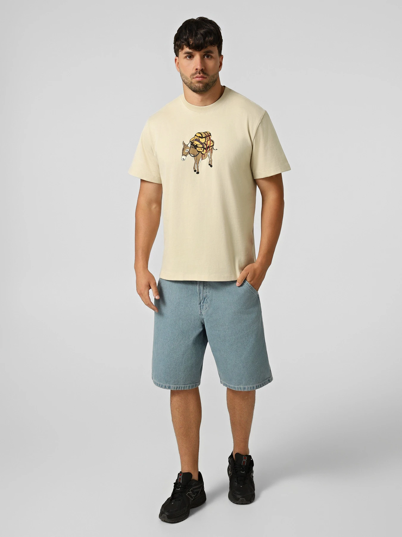 Футболки и поло The North Face M DONKEY TAXI RELAXED SHORT SL модель NF0A8G9FDOM1 Фото