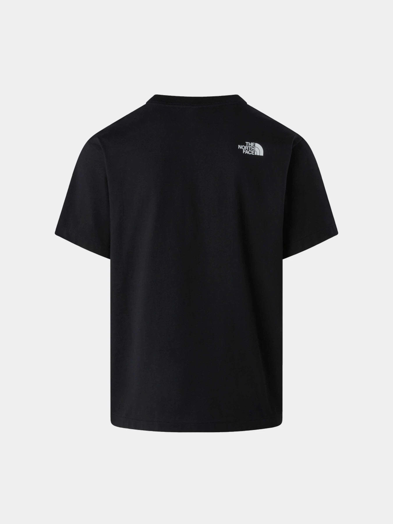 Футболки і поло The North Face M DONKEY TAXI RELAXED SHORT SL модель NF0A8G9FJK31 Фото