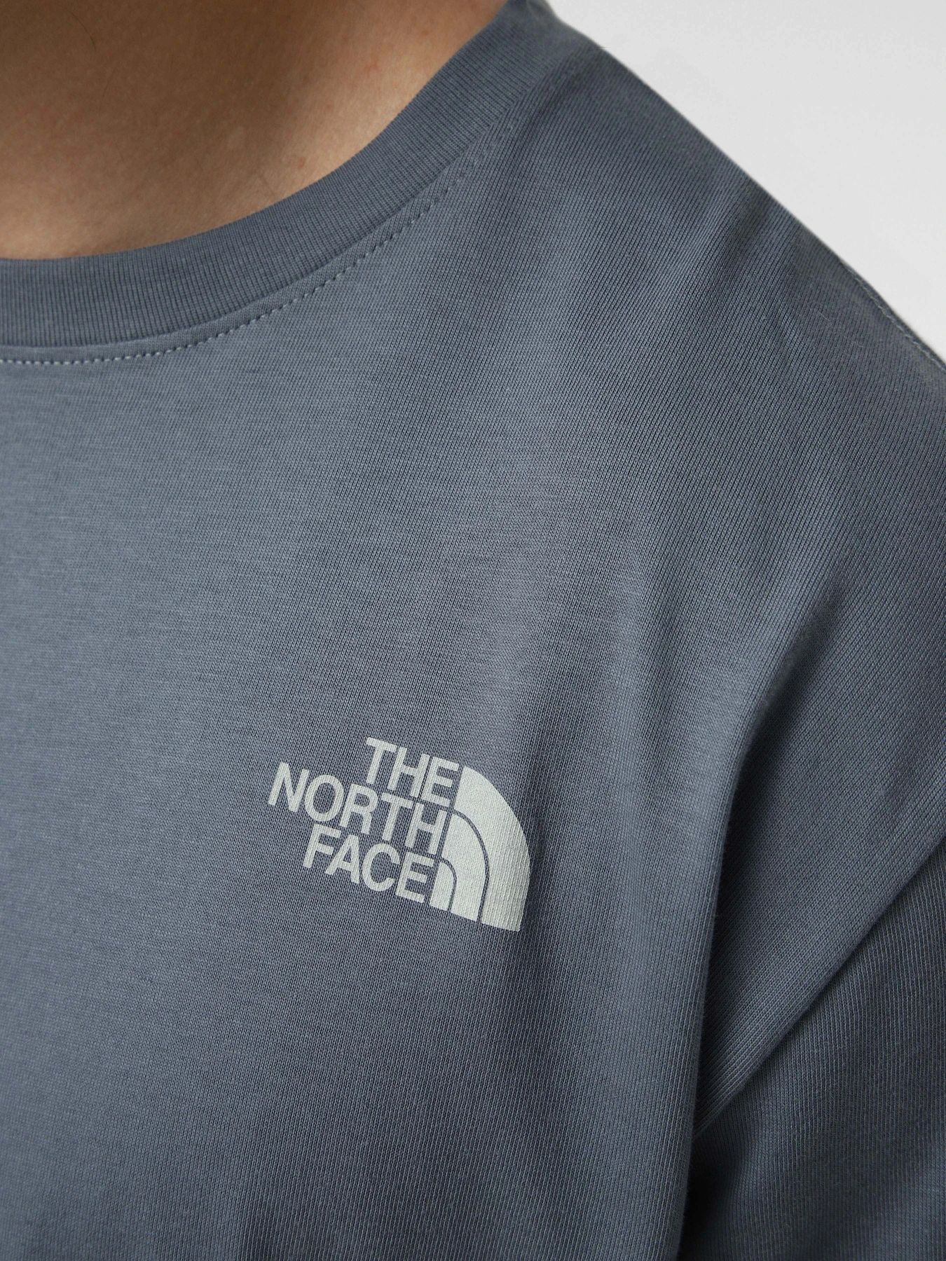 Футболки і поло The North Face M RETRO EARTH RELAXED SHORT SL модель NF0A8G9P0U31 Фото