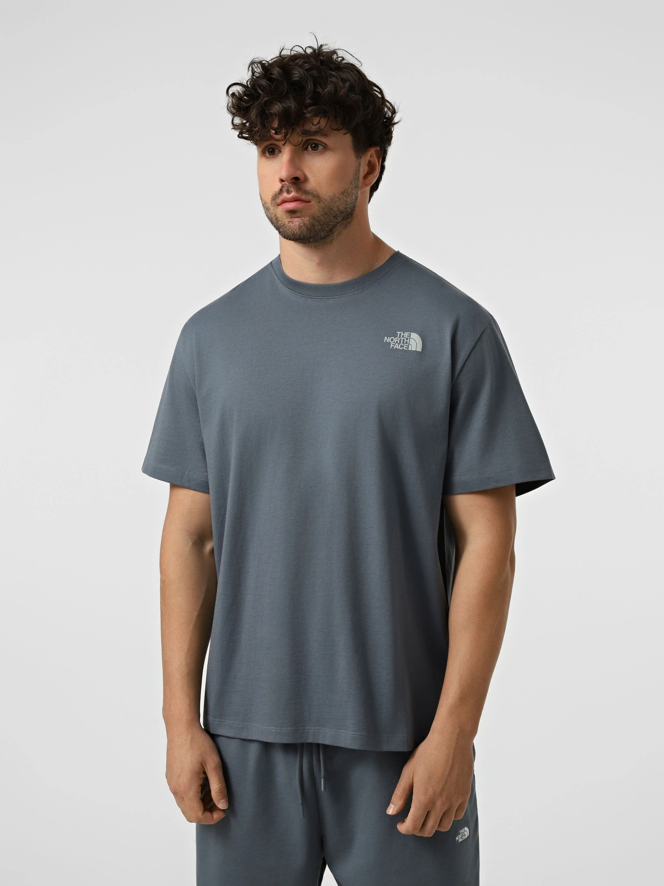 Футболки і поло The North Face M RETRO EARTH RELAXED SHORT SL модель NF0A8G9P0U31 Фото
