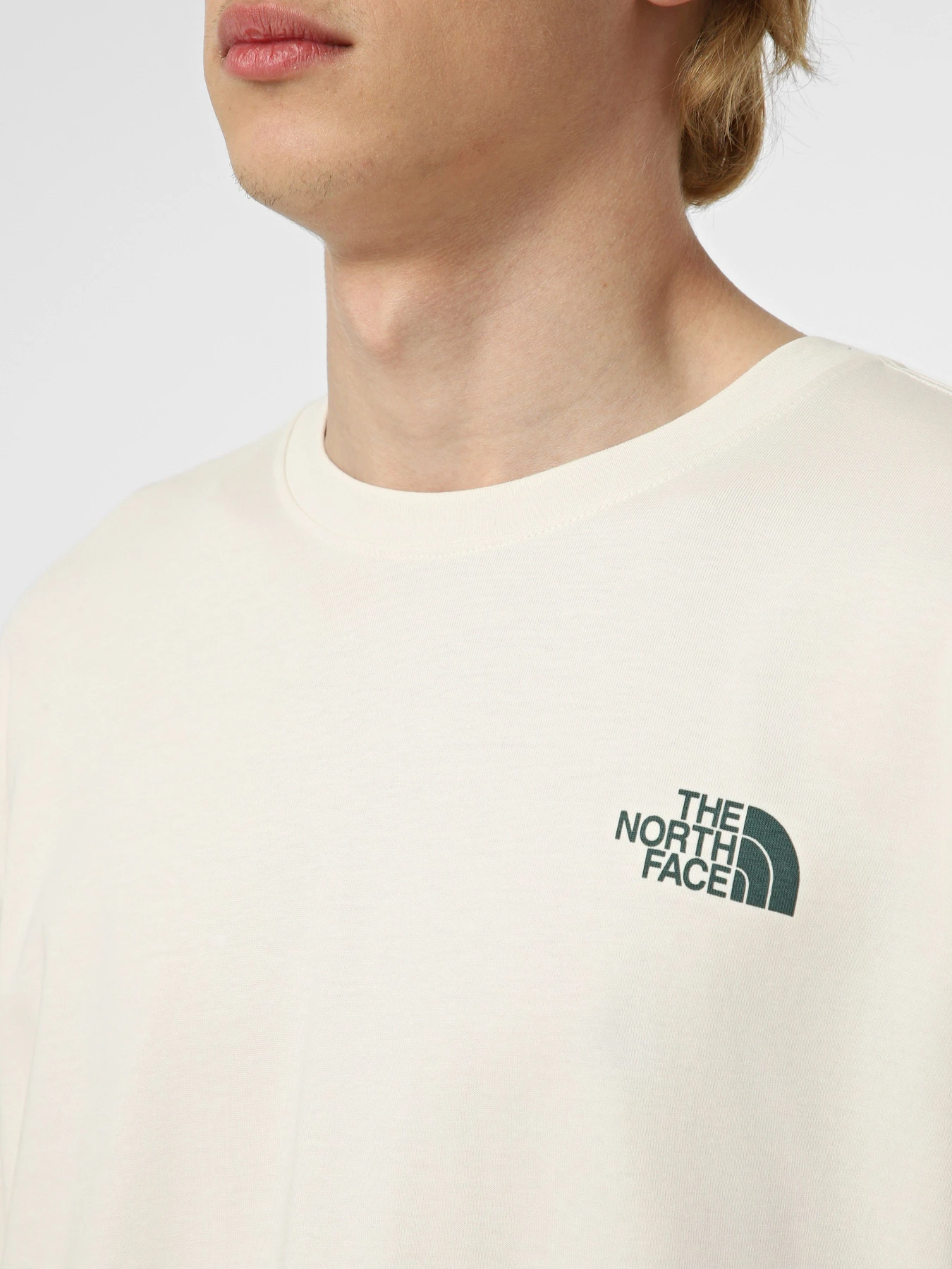 Футболки і поло The North Face M RETRO EARTH RELAXED SHORT SL модель NF0A8G9PQLI1 Фото