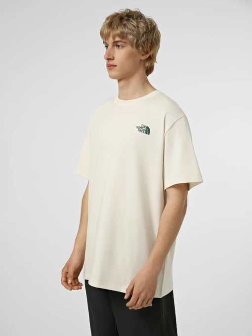 Футболки и поло The North Face M RETRO EARTH RELAXED SHORT SL модель NF0A8G9PQLI1 Фото