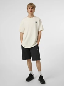 Футболки і поло The North Face M RETRO EARTH RELAXED SHORT SL модель NF0A8G9PQLI1 Фото