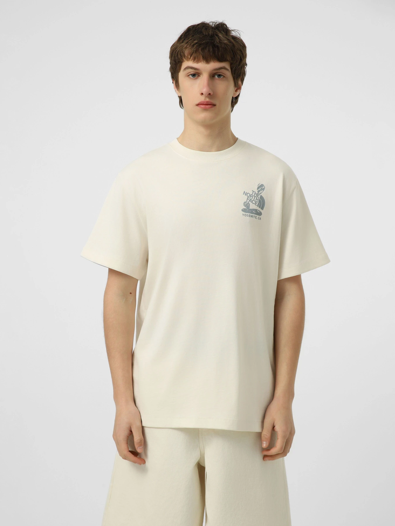 Футболки і поло The North Face M STONES RELAXED SHORT SLEEVE модель NF0A8G9RQLI1 Футболки і поло The North Face M STONES RELAXED SHORT SLEEVE модель NF0A8G9RQLI1 Фото
