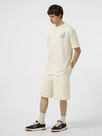 Футболки і поло The North Face M STONES RELAXED SHORT SLEEVE модель NF0A8G9RQLI1 Фото