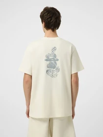 Футболки і поло The North Face M STONES RELAXED SHORT SLEEVE модель NF0A8G9RQLI1 Фото