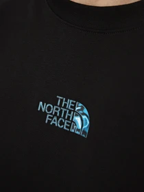 Футболки і поло The North Face M LIQUID LOGO OVERSIZE SHORT S модель NF0A8G9UJK31 Фото