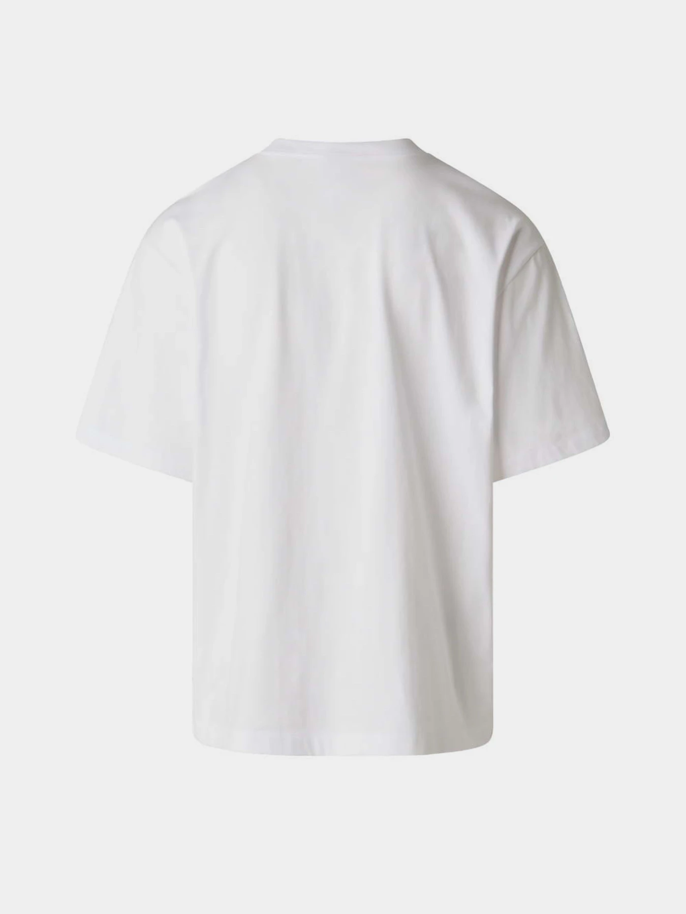 Футболки і поло The North Face M LIQUID LOGO OVERSIZE SHORT S модель NF0A8G9UFN41 Футболки і поло The North Face M LIQUID LOGO OVERSIZE SHORT S модель NF0A8G9UFN41 Фото