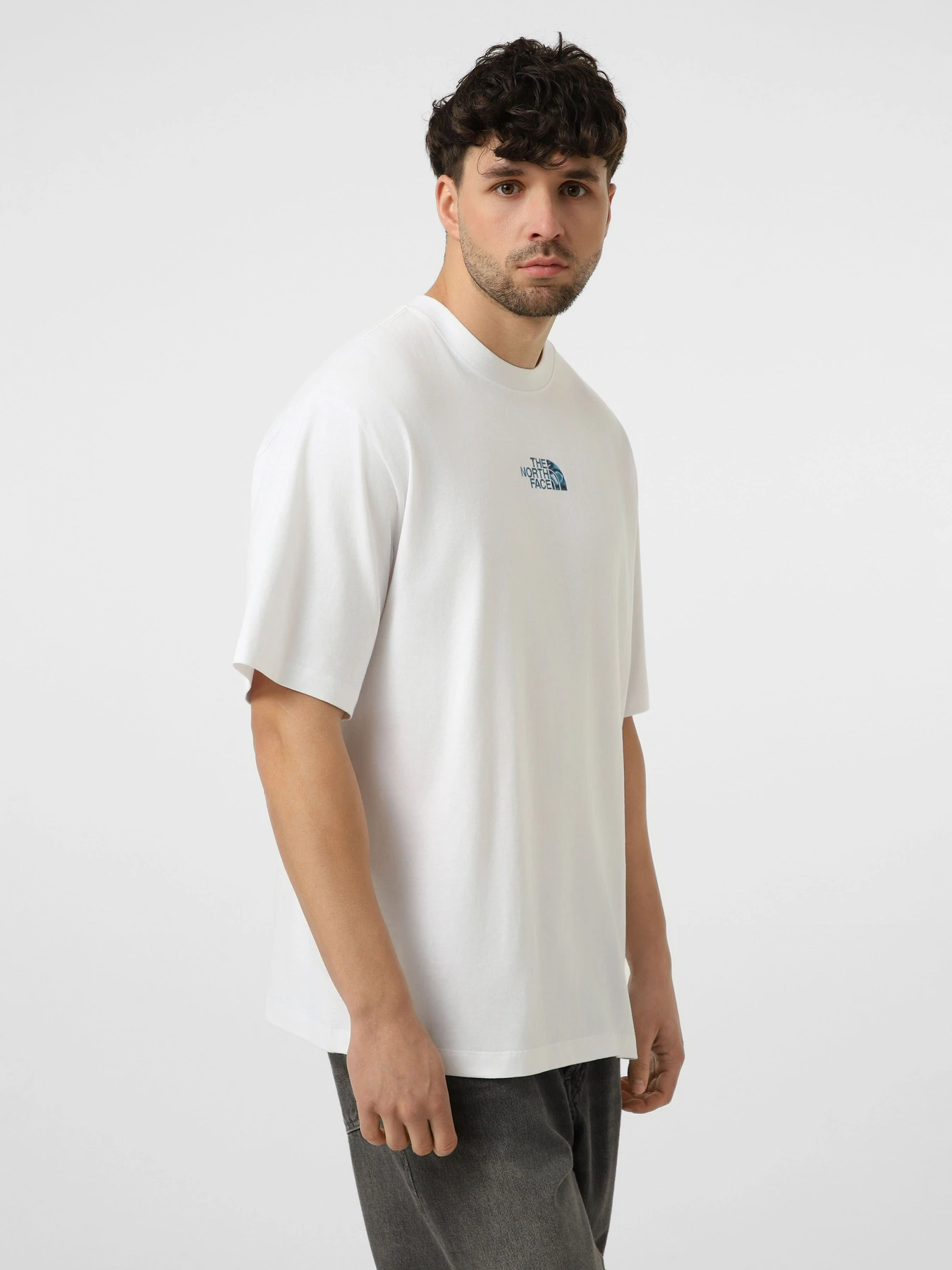 Футболки і поло The North Face M LIQUID LOGO OVERSIZE SHORT S модель NF0A8G9UFN41 Футболки і поло The North Face M LIQUID LOGO OVERSIZE SHORT S модель NF0A8G9UFN41 Фото