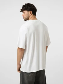 Футболки і поло The North Face M LIQUID LOGO OVERSIZE SHORT S модель NF0A8G9UFN41 Фото