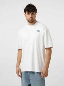 Футболки и поло The North Face M LIQUID BOX NSE OVERSIZE SHOR модель NF0A8G9WFN41 Фото