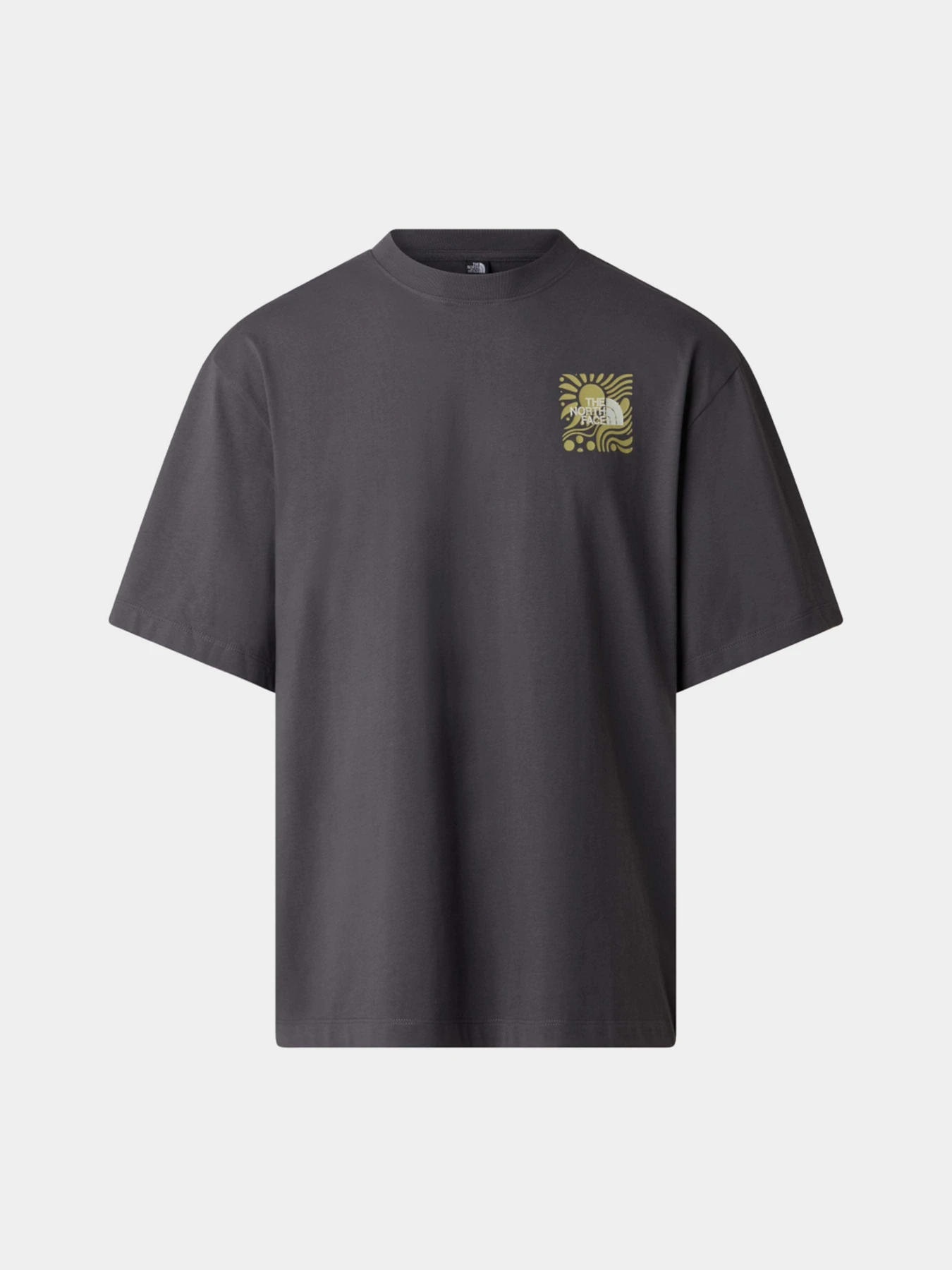 Футболки і поло The North Face M SUN OVERSIZE SHORT SLEEVE TE модель NF0A8GA0RHI1 Фото