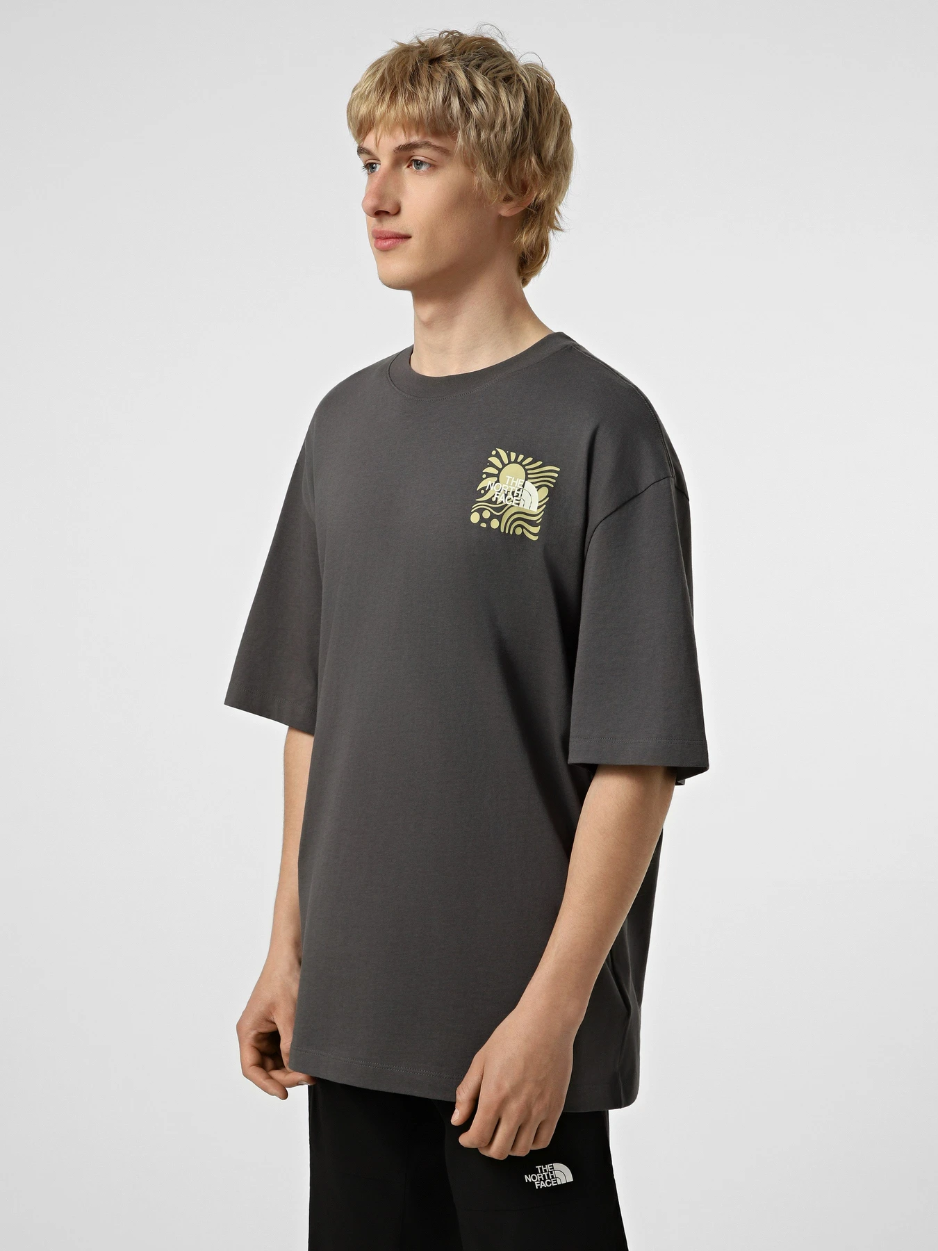 Футболки і поло The North Face M SUN OVERSIZE SHORT SLEEVE TE модель NF0A8GA0RHI1 Фото