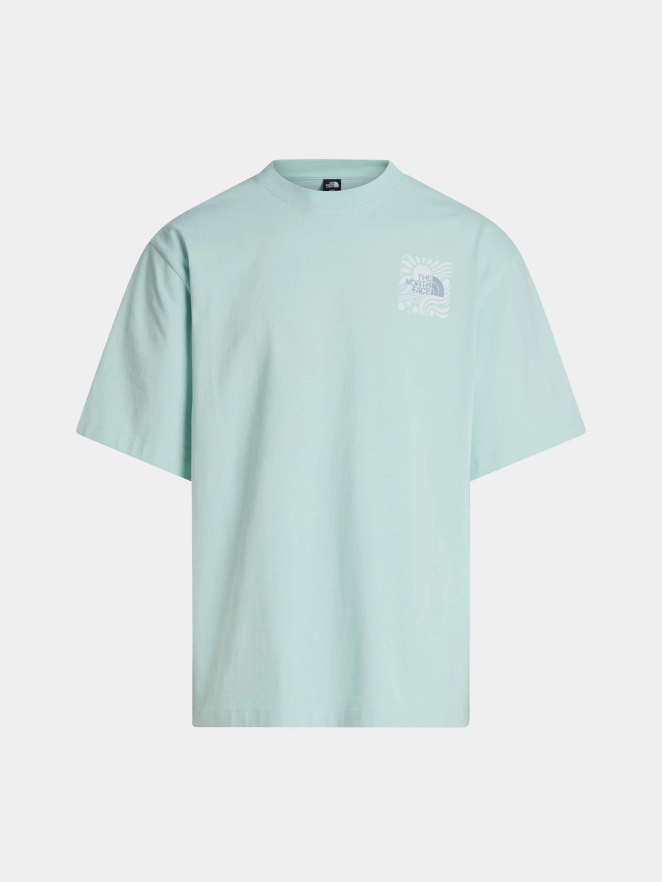 Футболки і поло The North Face M SUN OVERSIZE SHORT SLEEVE TE модель NF0A8GA0G701 Футболки і поло The North Face M SUN OVERSIZE SHORT SLEEVE TE модель NF0A8GA0G701 Фото
