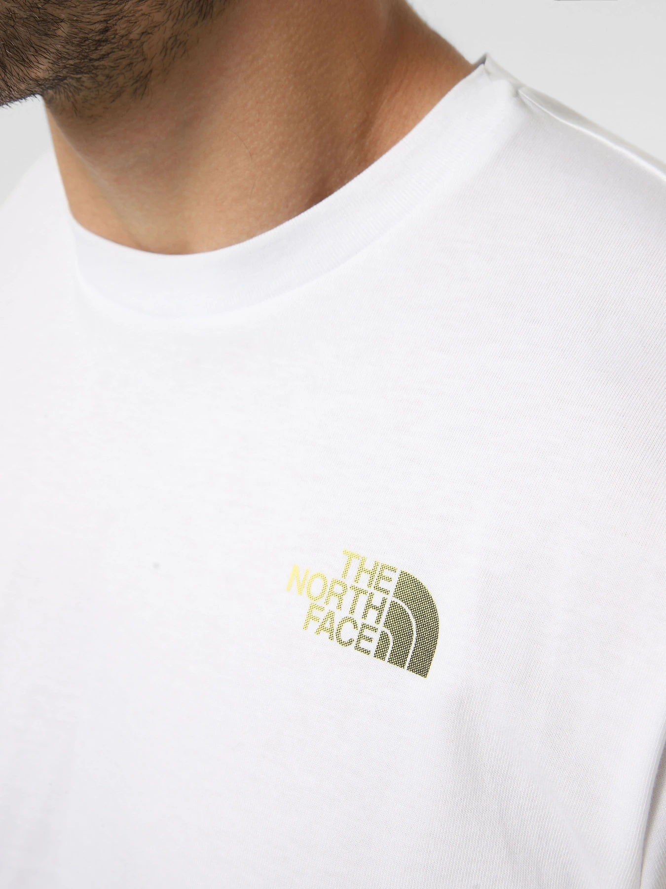 Футболки і поло The North Face M MA GRAPHIC REGULAR SHORT SLE модель NF0A8GA4FN41 Футболки і поло The North Face M MA GRAPHIC REGULAR SHORT SLE модель NF0A8GA4FN41 Фото