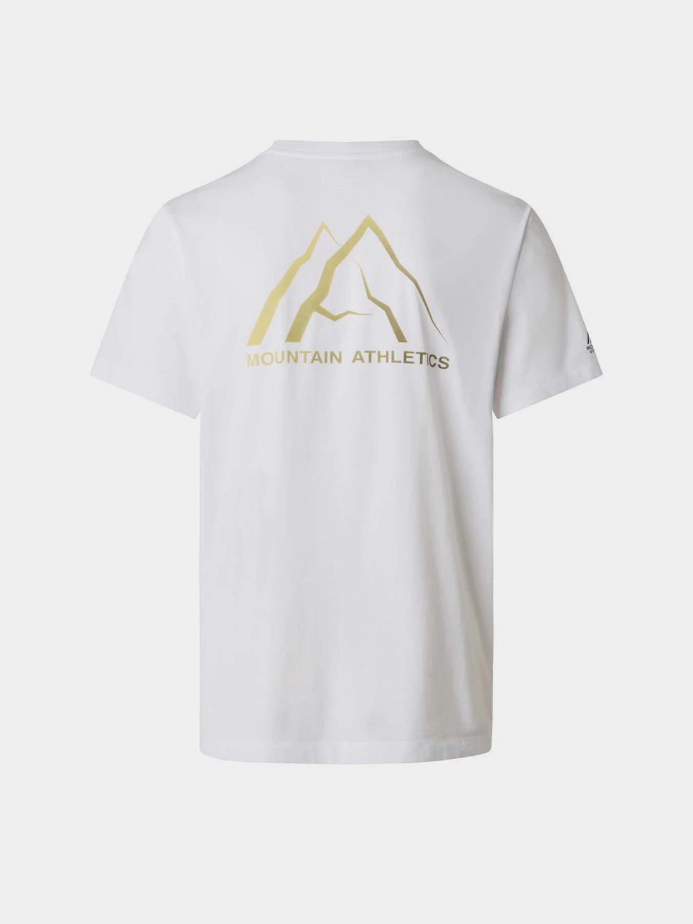 Футболки і поло The North Face M MA GRAPHIC REGULAR SHORT SLE модель NF0A8GA4FN41 Футболки і поло The North Face M MA GRAPHIC REGULAR SHORT SLE модель NF0A8GA4FN41 Фото