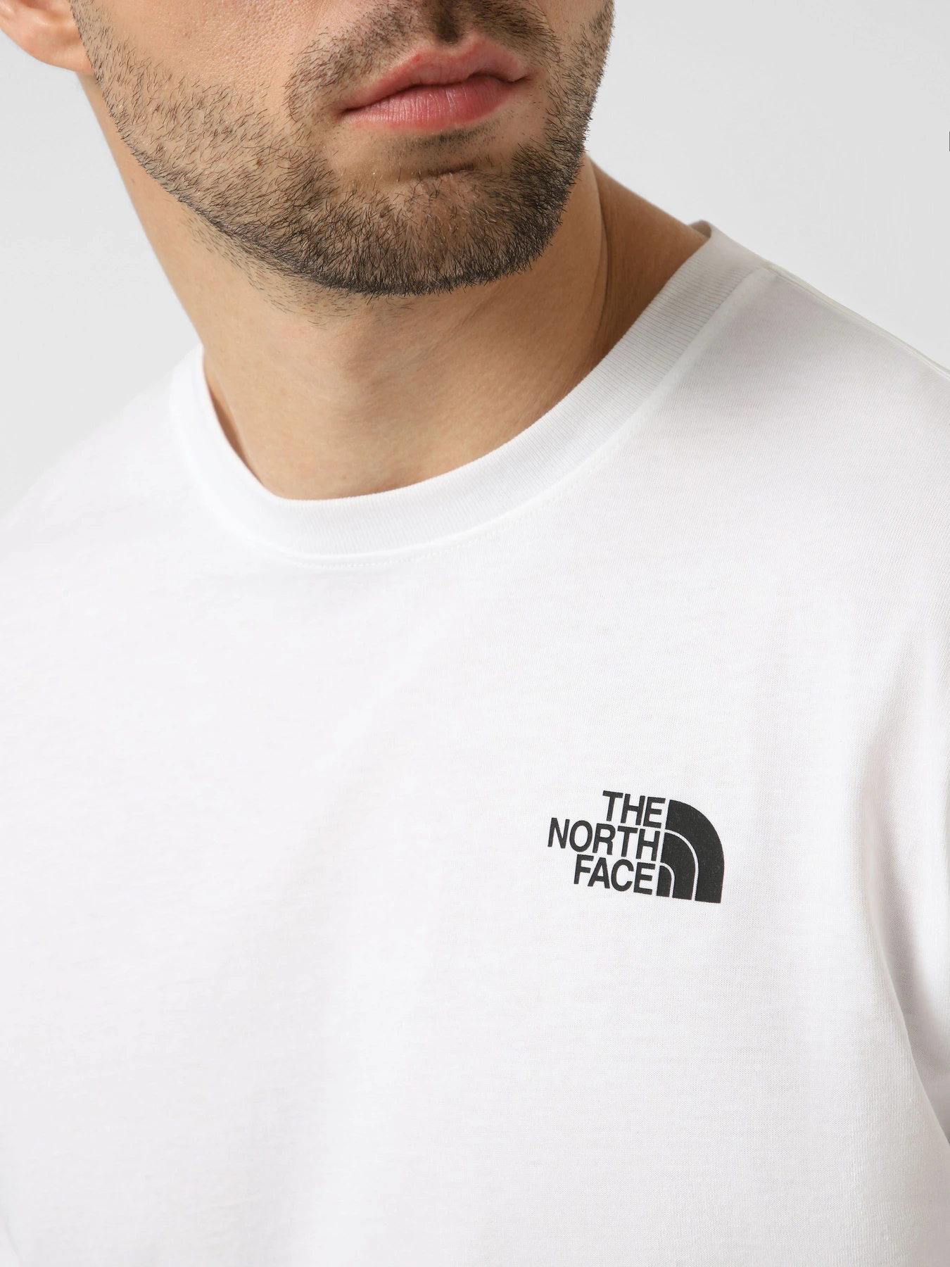 Футболки і поло The North Face M MONTE REGULAR SHORT SLEEVE T модель NF0A8GA7FN41 Фото