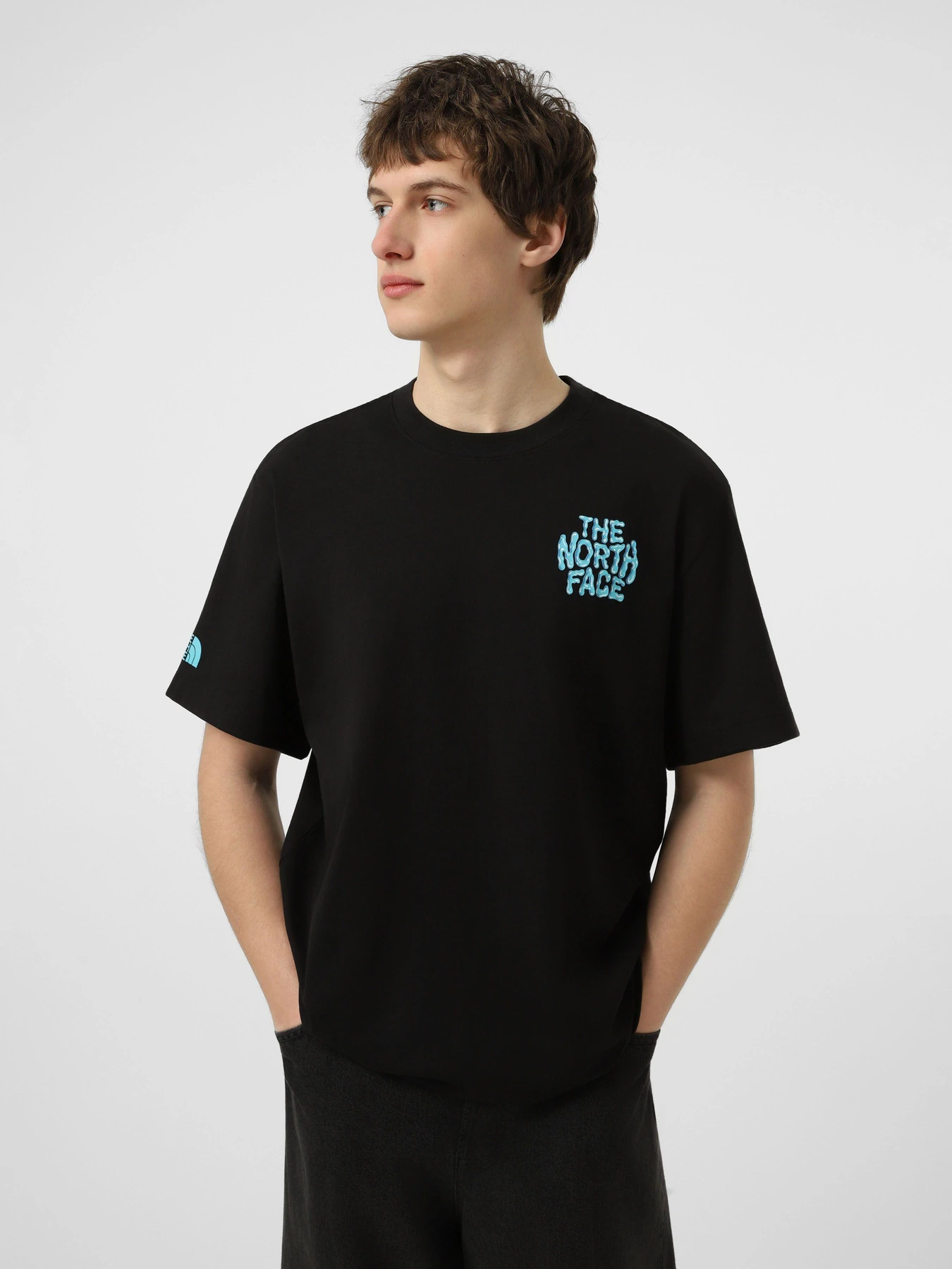 Футболки и поло The North Face M DRIP LOGO RELAXED SHORT SLEE модель NF0A8GABJK31 Футболки и поло The North Face M DRIP LOGO RELAXED SHORT SLEE модель NF0A8GABJK31 Фото