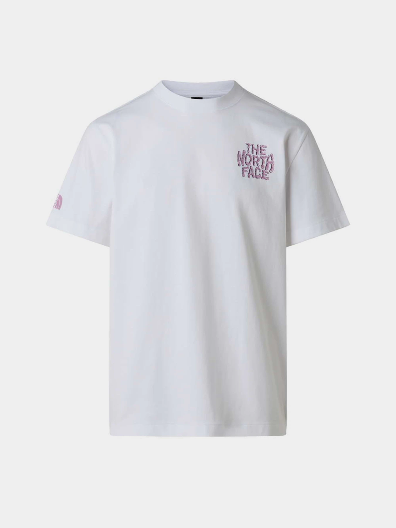 Футболки і поло The North Face M DRIP LOGO RELAXED SHORT SLEE модель NF0A8GABFN41 Футболки і поло The North Face M DRIP LOGO RELAXED SHORT SLEE модель NF0A8GABFN41 Фото