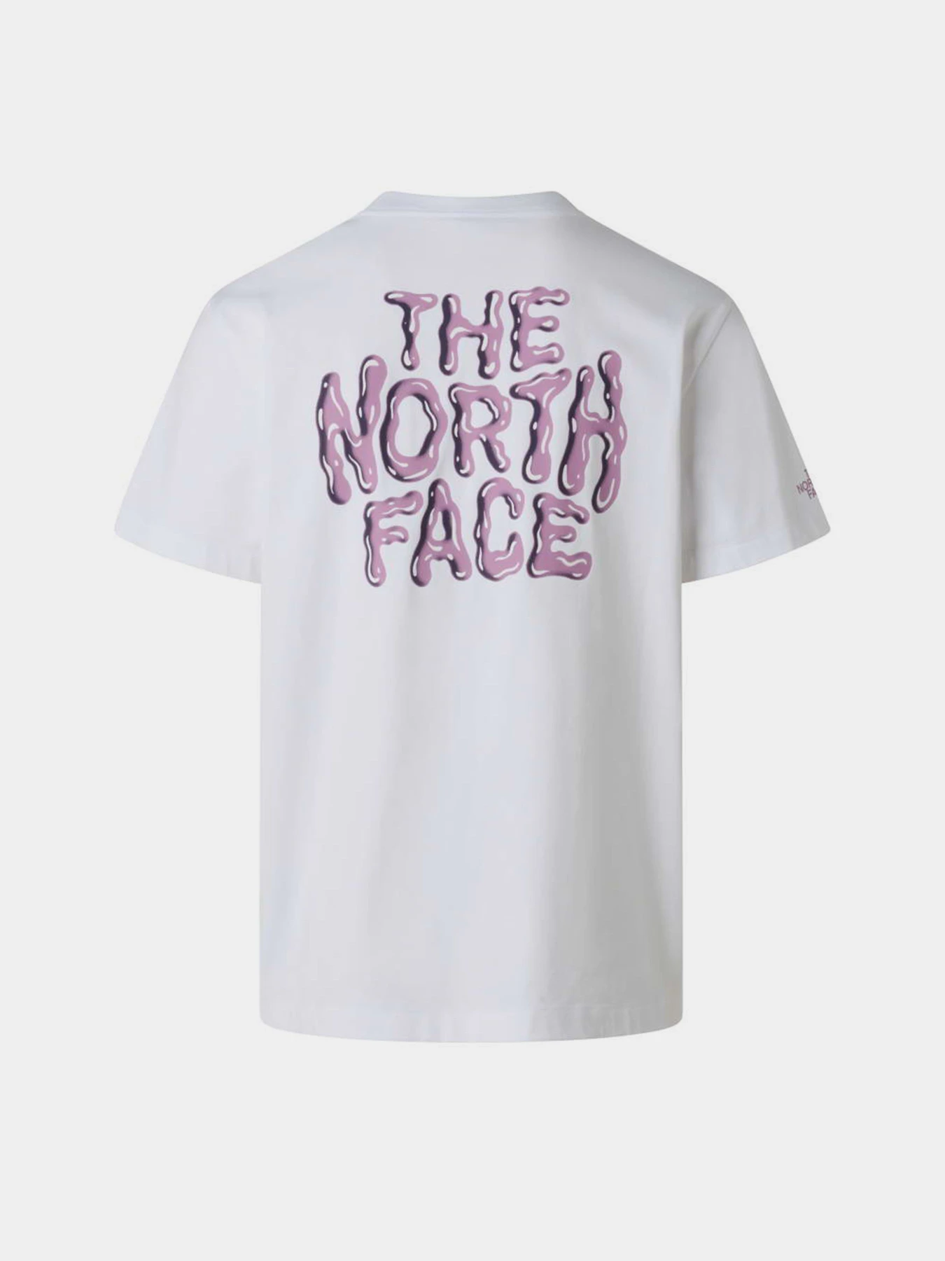 Футболки і поло The North Face M DRIP LOGO RELAXED SHORT SLEE модель NF0A8GABFN41 Футболки і поло The North Face M DRIP LOGO RELAXED SHORT SLEE модель NF0A8GABFN41 Фото